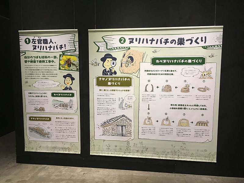 ファーブルに学ぶ！体感する昆虫展