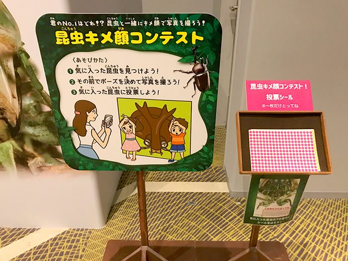 昆虫スゴわざ展2019