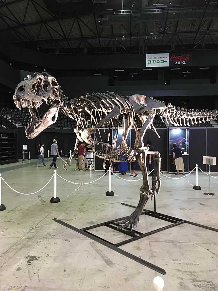 宮城肉食恐竜展