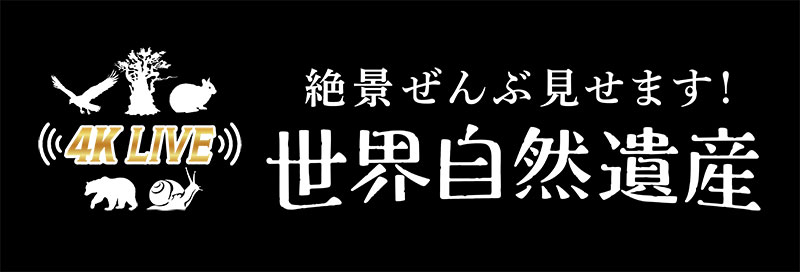 テレビ番組のタイトル