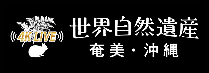 テレビ番組のタイトル