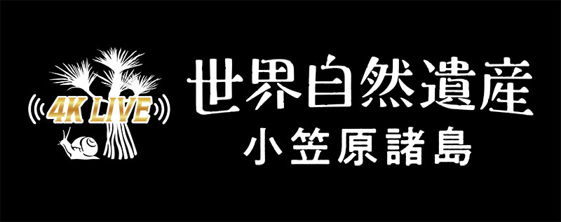 テレビ番組のタイトル