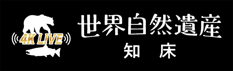 テレビ番組のタイトル