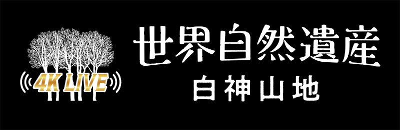 テレビ番組のタイトル