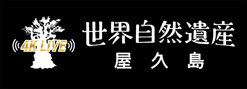 テレビ番組のタイトル