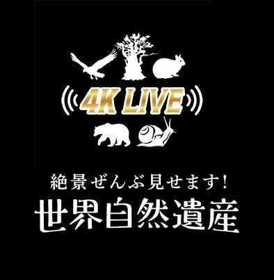 番組タイトル