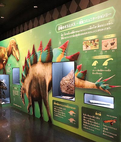 恐竜スカイミュージアム