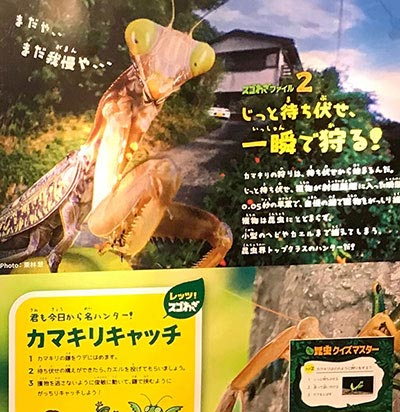 変身！昆虫スゴわざ展